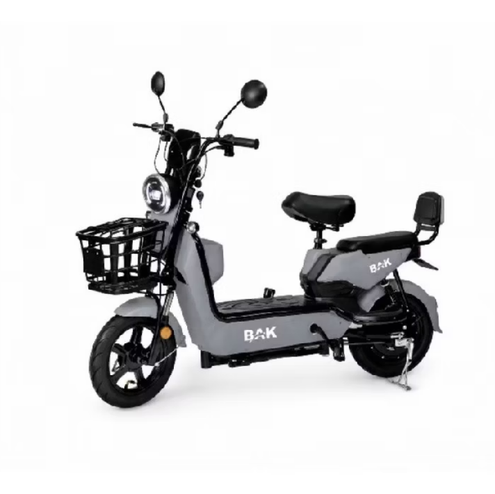 Bicicleta Eletrica